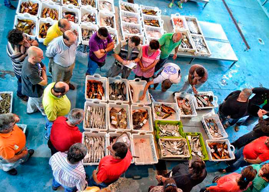 Рыбный аукцион в Ла-Корунья
