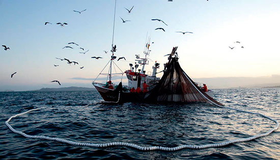 Рыболовство в Испании. Испанские морепродукты купить