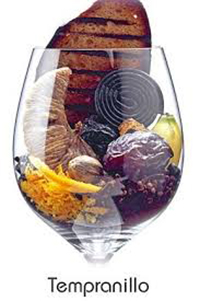темпранильо виноград сорт вино Испания