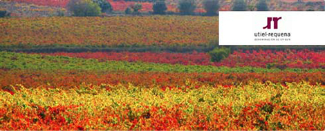 винодельческие области Испании